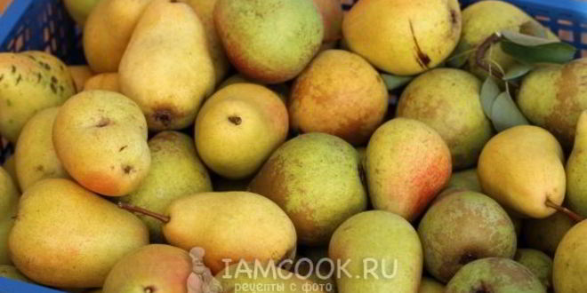 Рецепт компот из груш на зиму без стерилизации