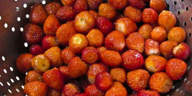 Рецепт компот из клубники и яблок