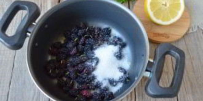 Рецепт компот из шелковицы