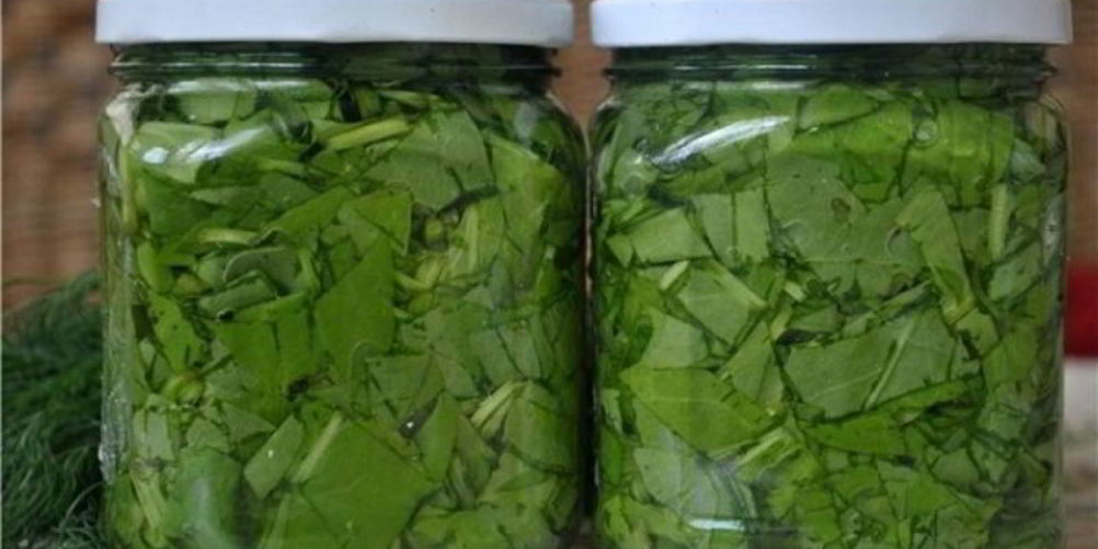 Как приготовить консервированный щавель на зиму