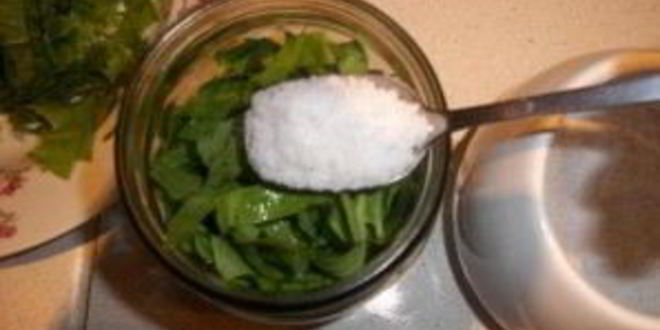 Рецепт консервированный щавель на зиму