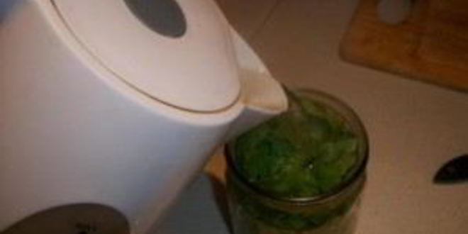 Рецепт консервированный щавель на зиму