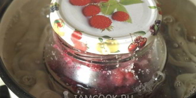 Рецепт малина в собственном соку на зиму