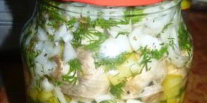 Рецепт быстрые маринованные грибы