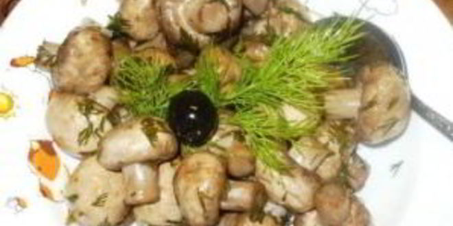 Рецепт быстрые маринованные грибы