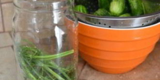 Рецепт быстрые маринованные огурцы