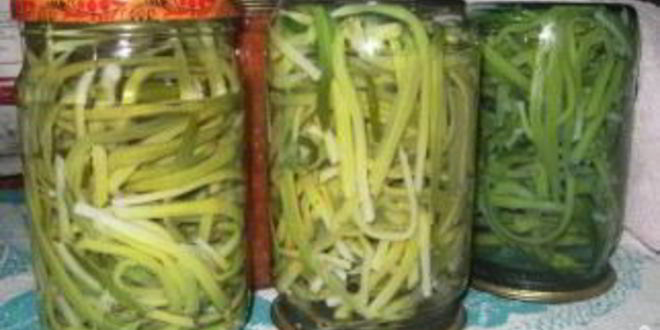 Рецепт черемша маринованная