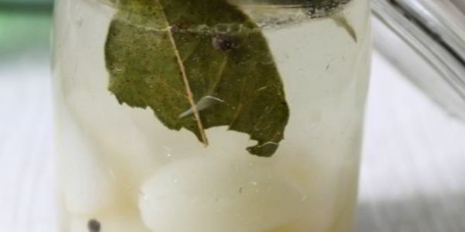 Рецепт чеснок маринованный на зиму