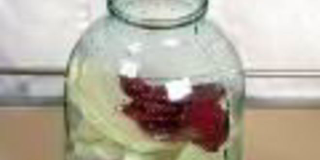 Рецепт гурийская капуста