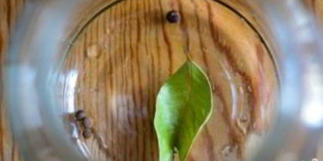 Рецепт капуста, маринованная в рассоле