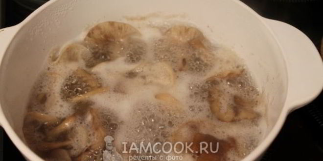 Рецепт маринование опят без стерилизации на зиму