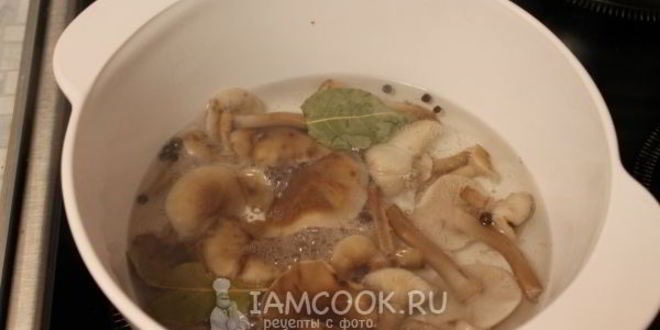 Рецепт маринование опят без стерилизации на зиму