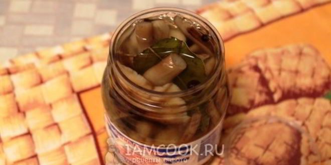 Рецепт маринование опят без стерилизации на зиму