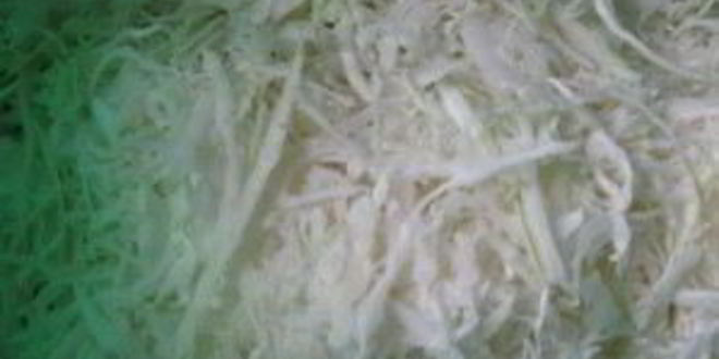 Рецепт маринованная капуста