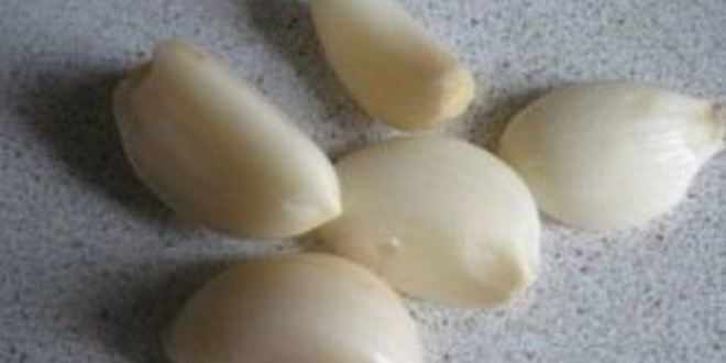 Рецепт маринованная капуста