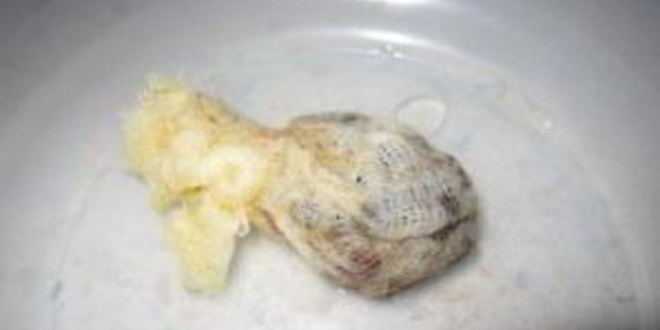 Рецепт маринованная тыква на зиму