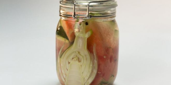 Рецепт маринованный арбуз с фенхелем