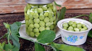 Рецепт Маринованный горох на зиму домашний