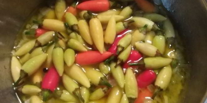 Рецепт маринованный перец пири-пири