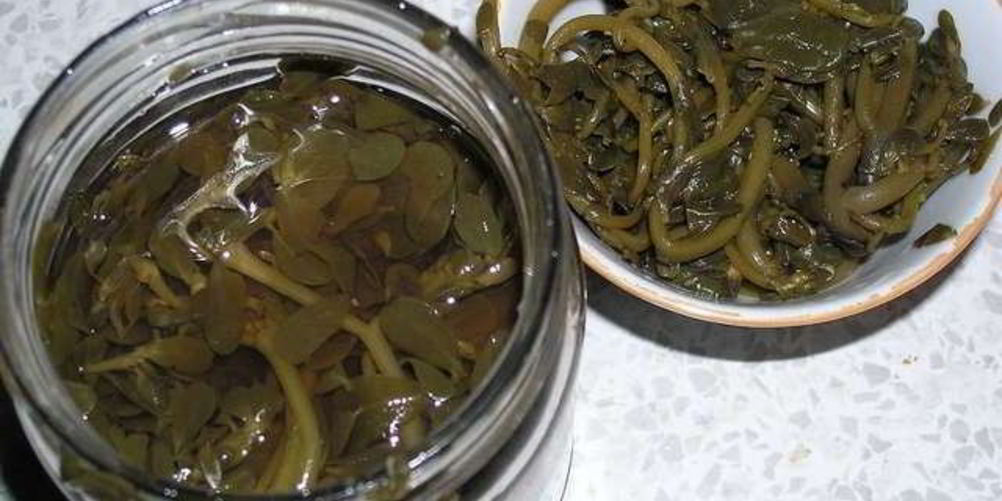 Как приготовить маринованный портулак