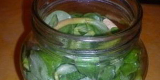 Рецепт маринованный портулак