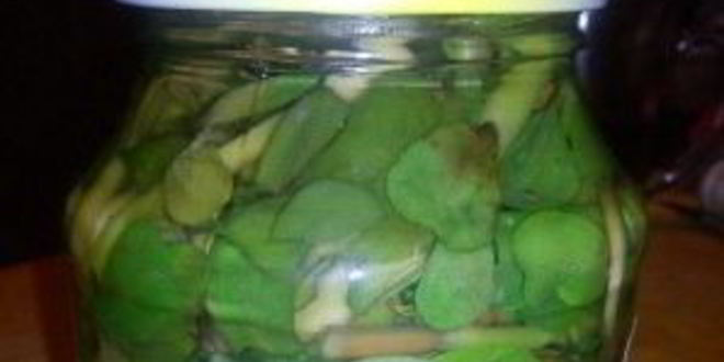 Рецепт маринованный портулак