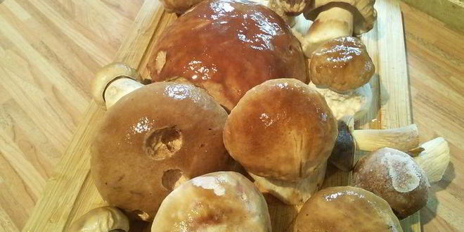 Рецепт маринованные грибы