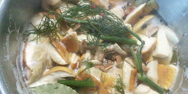 Рецепт маринованные грибы