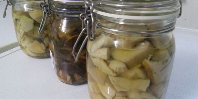 Рецепт маринованные грибы