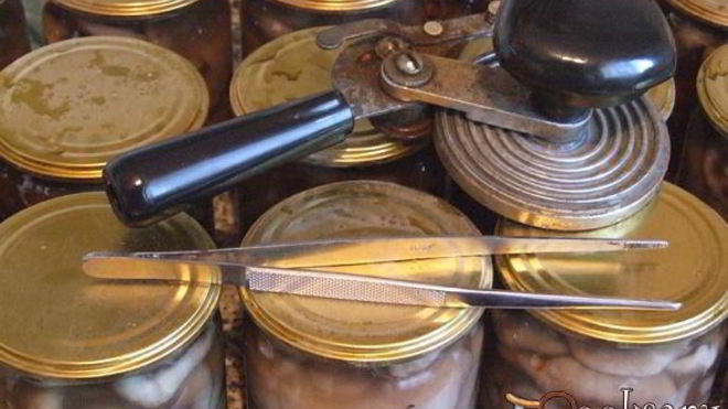 Рецепт Маринованные маслята на зиму