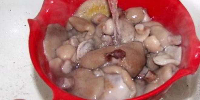 Рецепт маринованные маслята на зиму