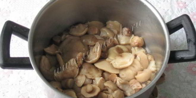 Рецепт маринованные маслята
