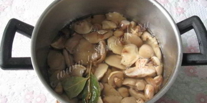 Рецепт маринованные маслята