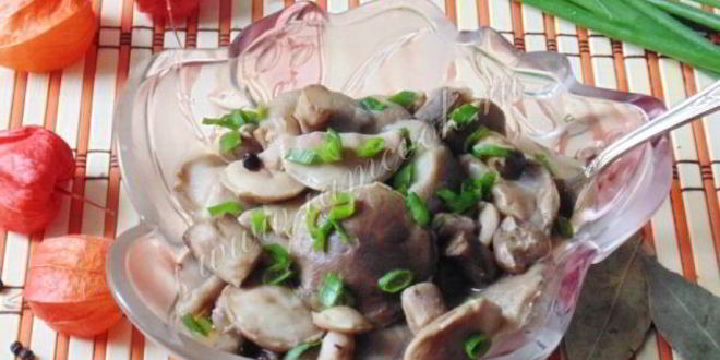Рецепт маринованные маслята