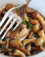 Маринованные моховики