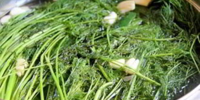 Рецепт маринованные огурцы без уксуса