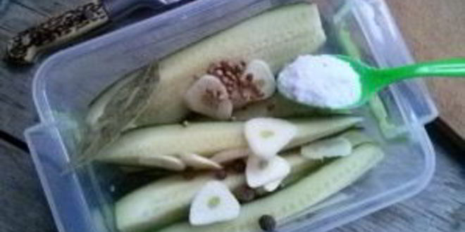 Рецепт маринованные огурцы без закатки