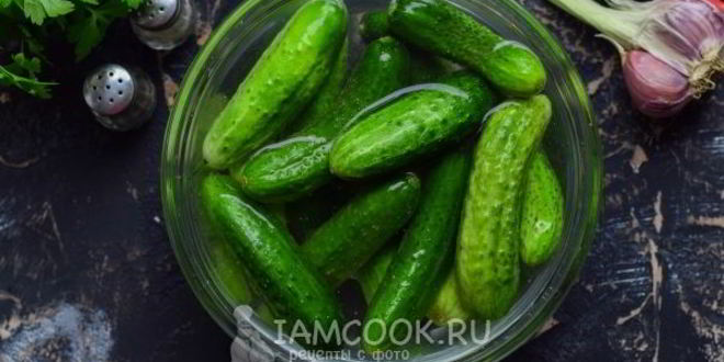 Рецепт маринованные огурцы с горчицей и маслом