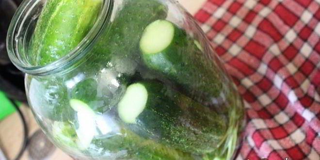 Рецепт маринованные огурцы