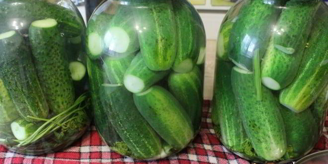 Рецепт маринованные огурцы