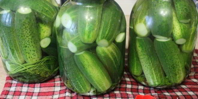 Рецепт маринованные огурцы