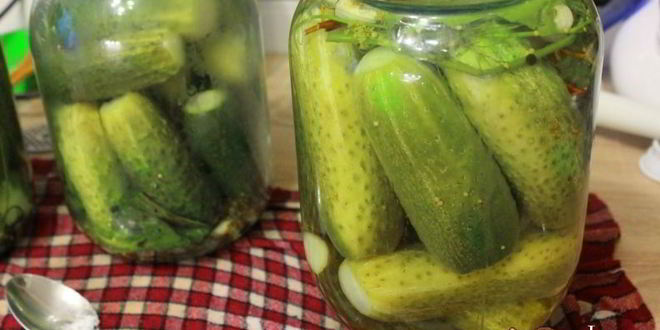 Рецепт маринованные огурцы