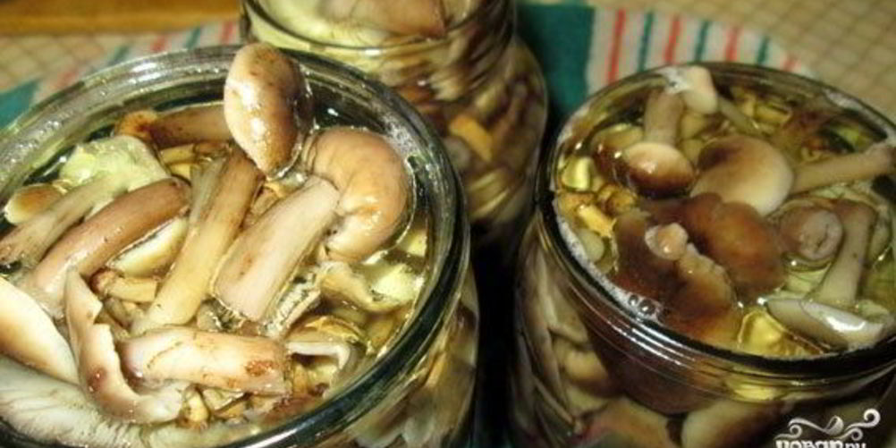 Рецепт быстрые маринованные опята