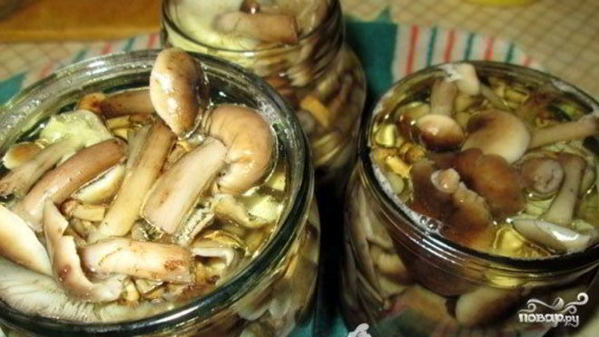 Рецепт Маринованные опята без уксуса