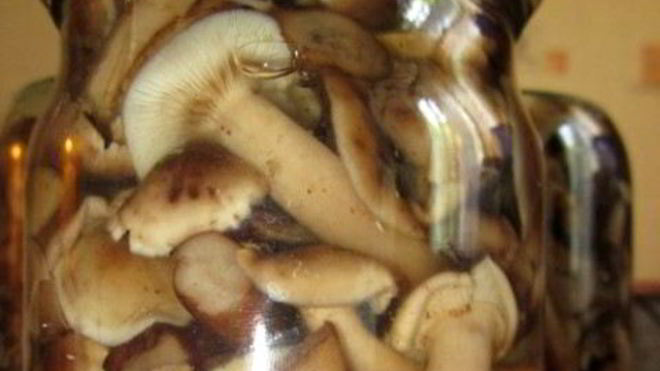 Рецепт Маринованные опята с уксусом