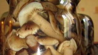 Рецепт Маринованные опята с уксусом