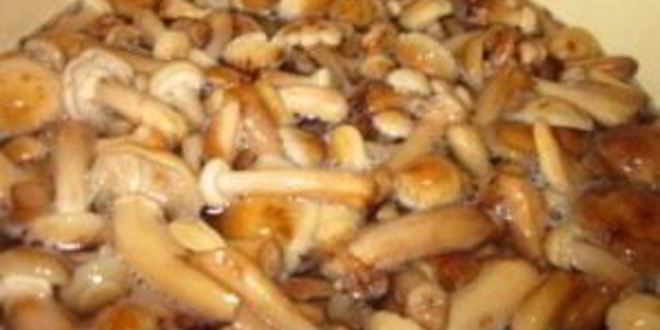 Рецепт маринованные опята с уксусом