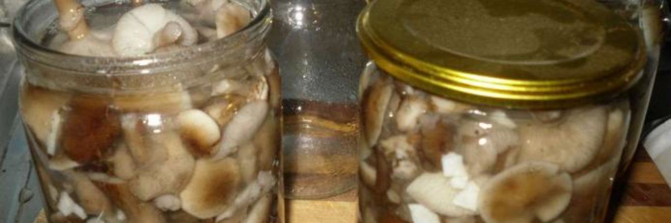Рецепт Маринованные опята