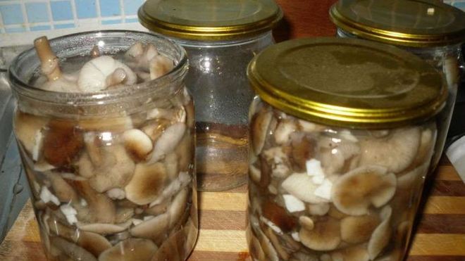 Рецепт Маринованные опята
