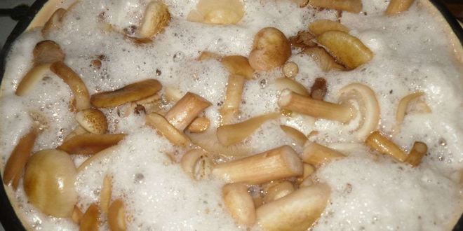 Рецепт маринованные опята
